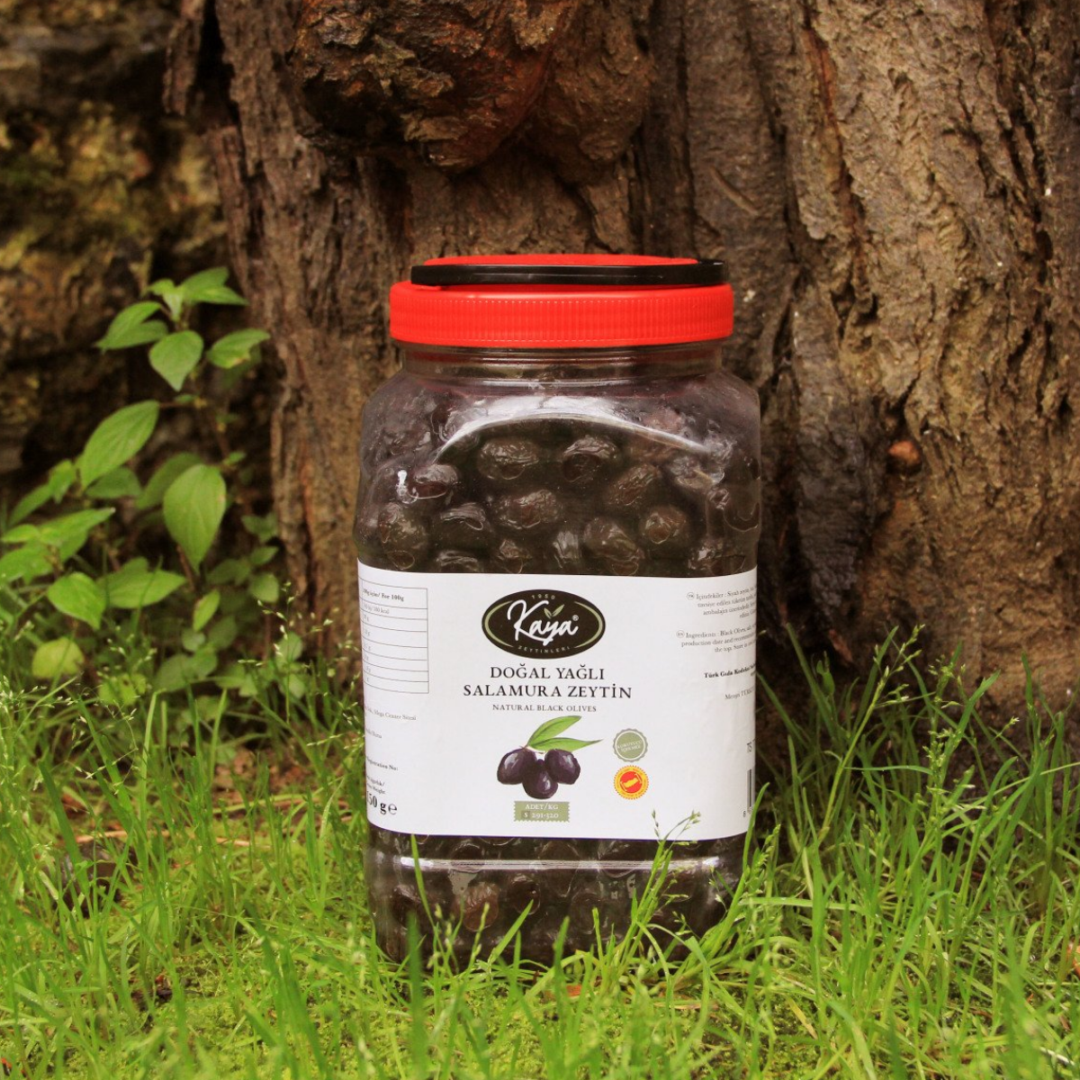 Kaya Gemlik Doğal Yağlı Salamura Siyah Zeytin (2000 Gr Pet)