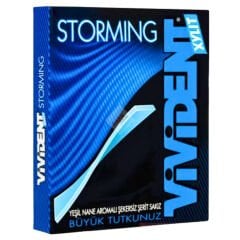Vivident Storming Yeşil Nane Aromalı Sakız 33gr 18li